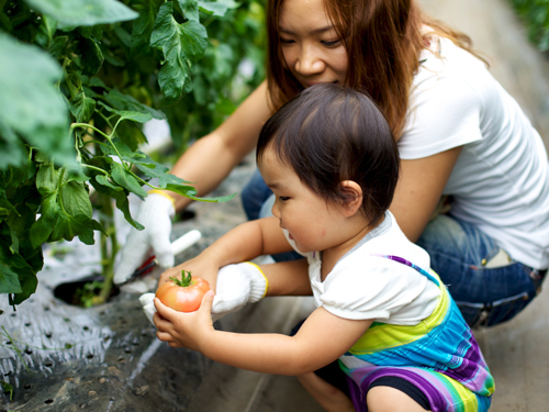 加子母　おやこワークショップ